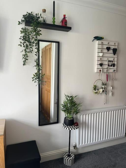 Central St Andrews 2 Bed Apartment Ngoại thất bức ảnh